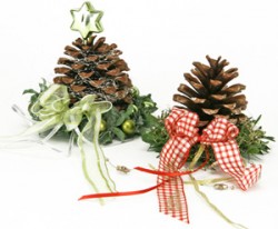 pigneconnastro Idee Pigne con fiocchi e nastri per Natale