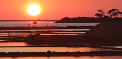 riserva_stagnone