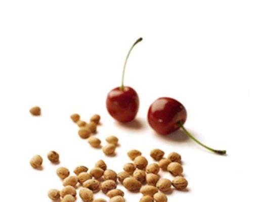 noccioli di cliegio