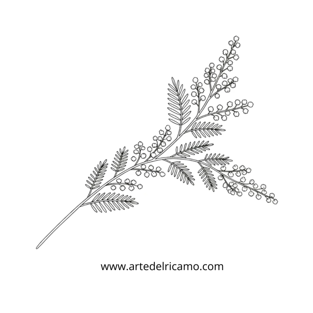 disegno di rametto di mimose da ricamare